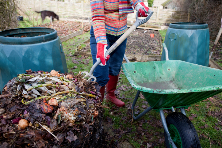 Kitchen Waste Compost
