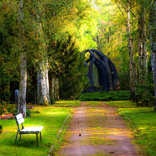 Bänk i park
